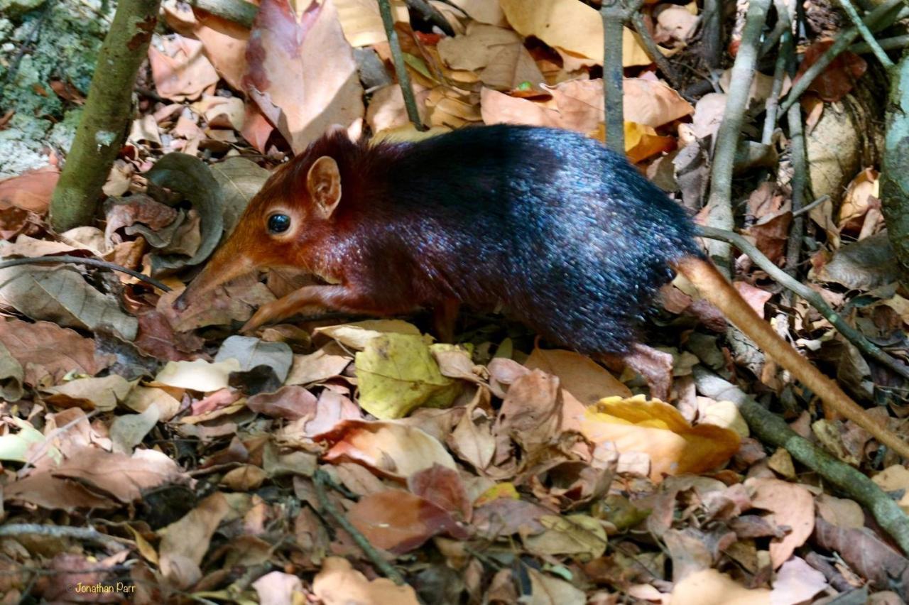 Unguja Kizimkazi
